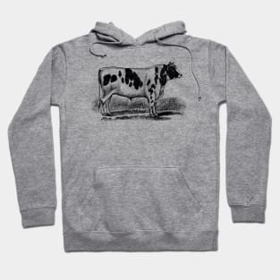 Holstein Bull Black and White Vintage Illustration Hoodie